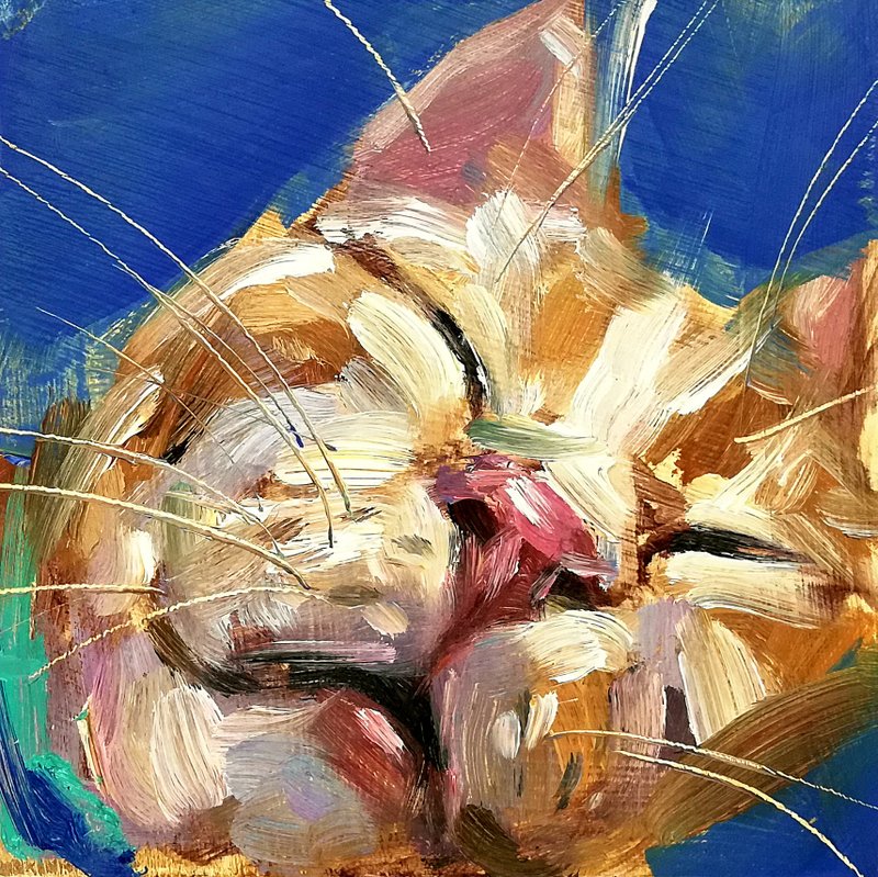 睡觉的虎斑猫原创油画有趣的动物宠物艺术 - 海报/装饰画/版画 - 其他材质 多色