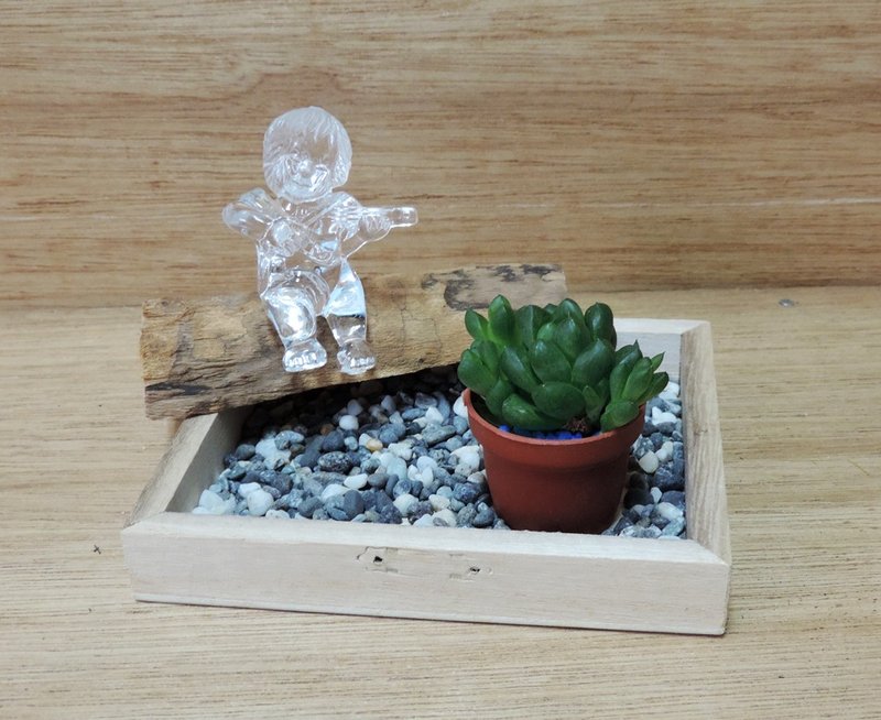 欧式古典花园 多肉生活美学 - 植栽/盆栽 - 其他材质 