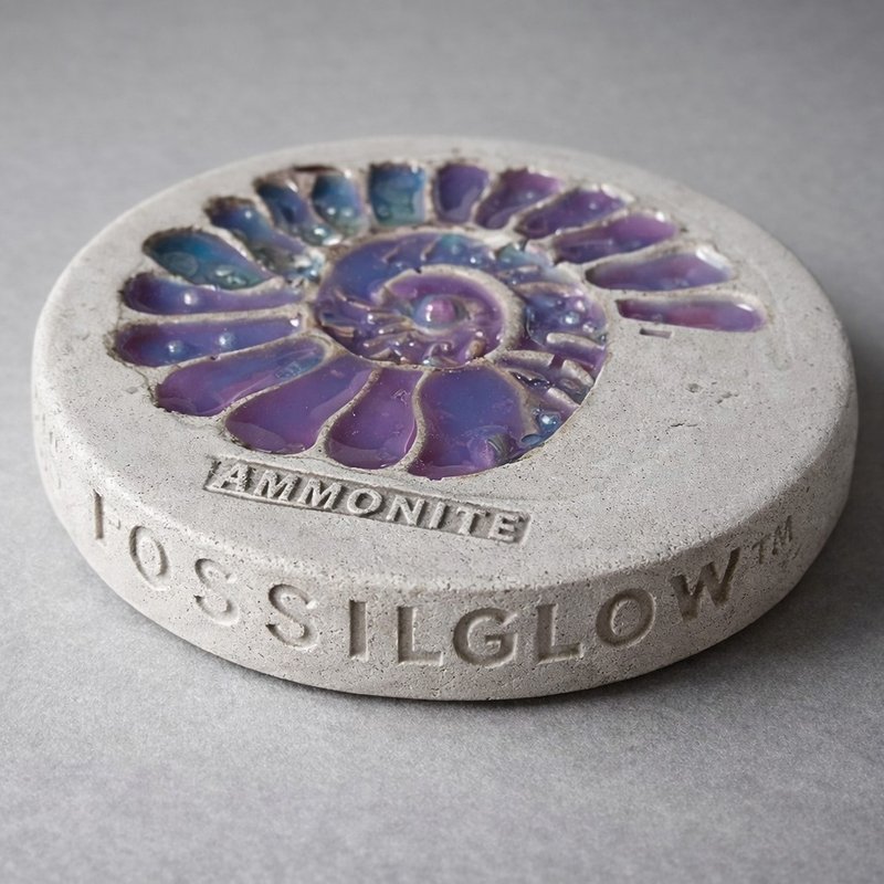 AquaLith海洋化石系列菊石混凝土手作艺术杯垫 - 杯垫 - 水泥 紫色