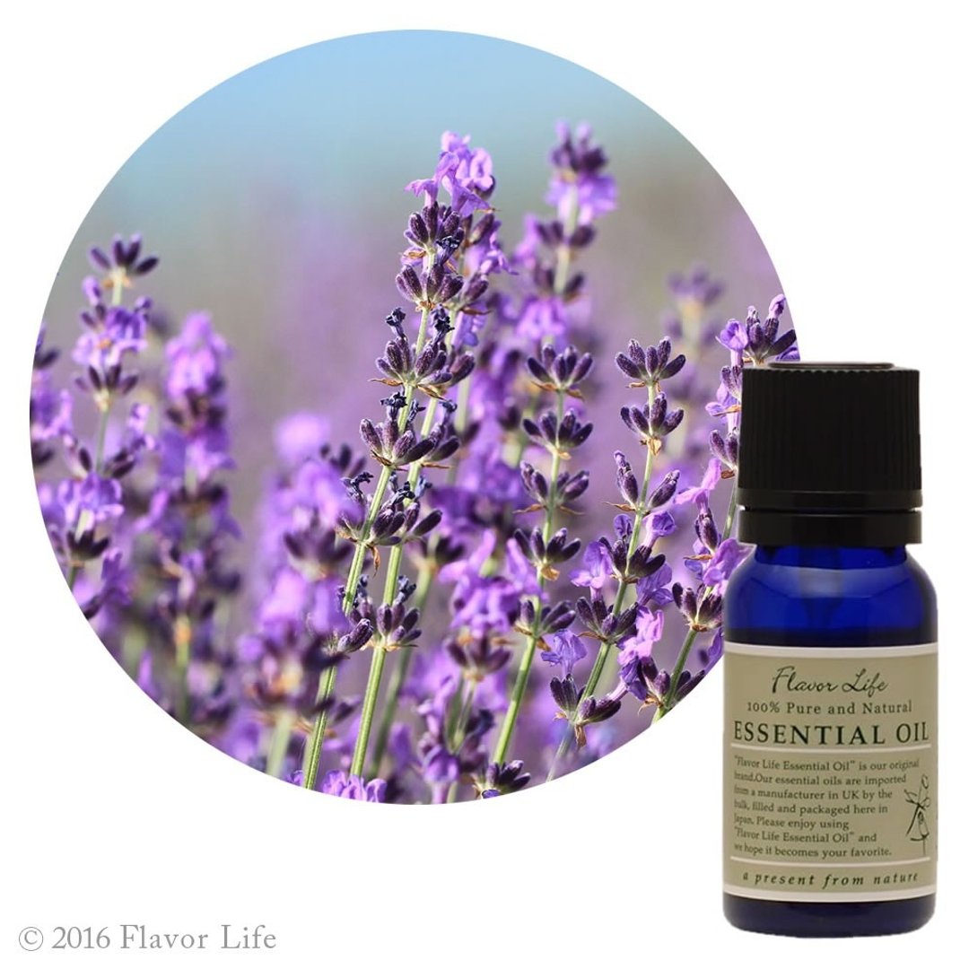 【真正薰衣草精油】Lavandula angustifolia (Lavender) - 香薰/精油/线香 - 精油 紫色