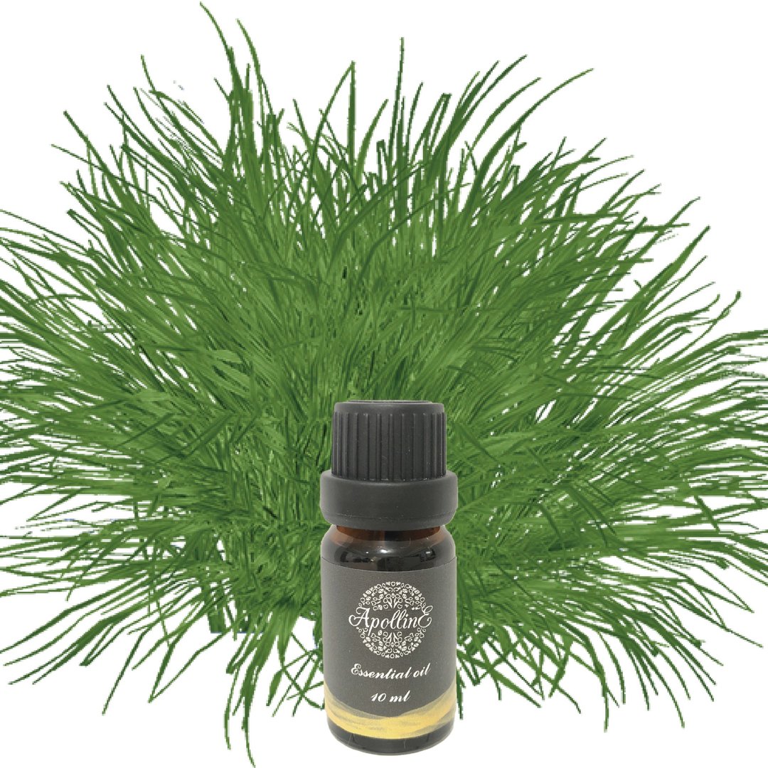 柠檬香茅/柠檬草精油 LEMONGRASS - 香薰/精油/线香 - 精油 