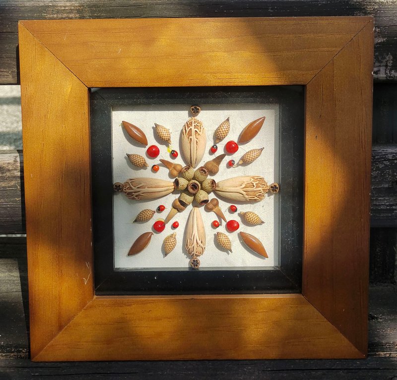 自然果实种子家饰画 - 海报/装饰画/版画 - 植物．花 