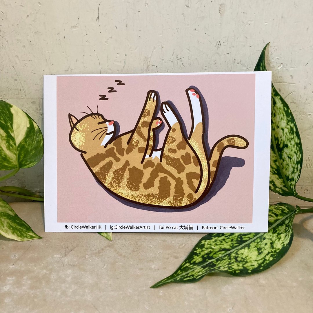 相片图画 双面明信片 复制原画 裱画 电绘 唐猫 黄猫 香港 街市 - 卡片/明信片 - 纸 