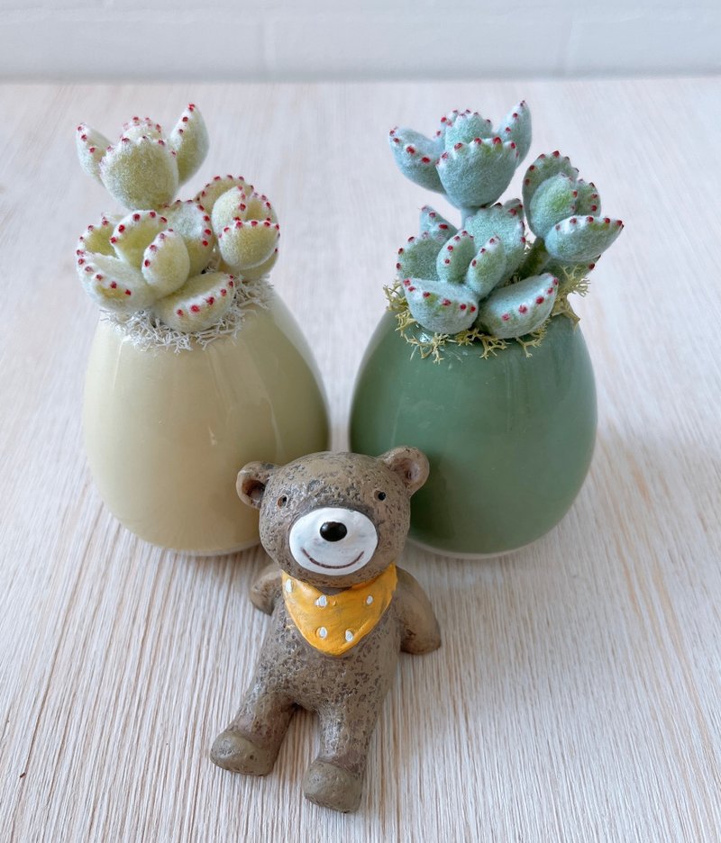 【黏土多肉-现货】熊童子_白熊_绿熊 - 植栽/盆栽 - 粘土 多色