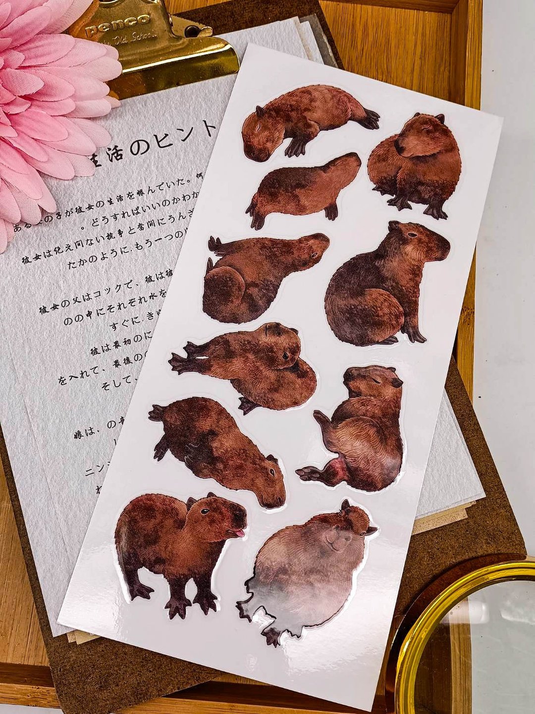 5K070-11_五口美-乾式轉印貼紙_ I am pretty Transfer Stickers - 贴纸 - 其他材质 多色