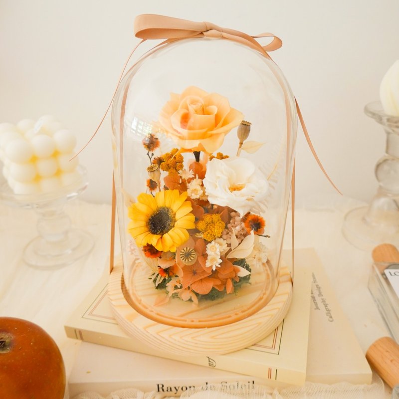 长型玻璃罩盅-暖阳橘 - 干燥花/捧花 - 植物．花 橘色