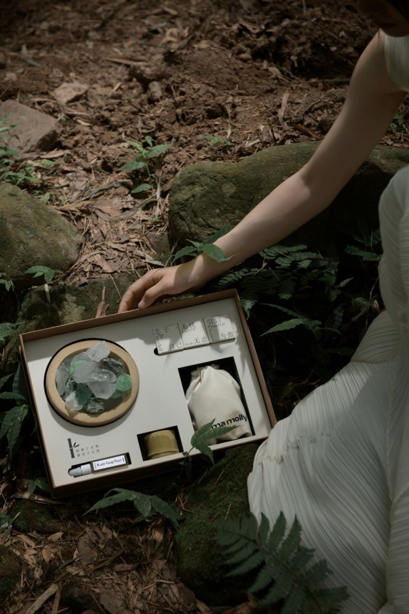 竹子系列竹子晶石香薰禮盒 擴香石擺件 持久淡香 高級禮物 - 其他 - 石头 绿色