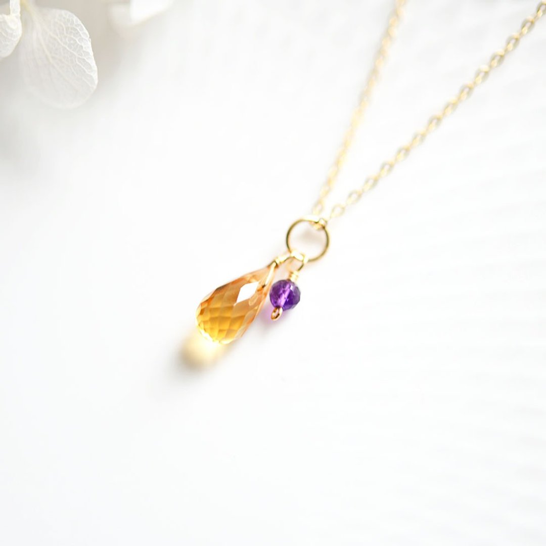 Prosperity wealth lucky Stone citrine and love of the guardian Stone amethyst of twins necklace February / November birthstone - 项链 - 宝石 紫色