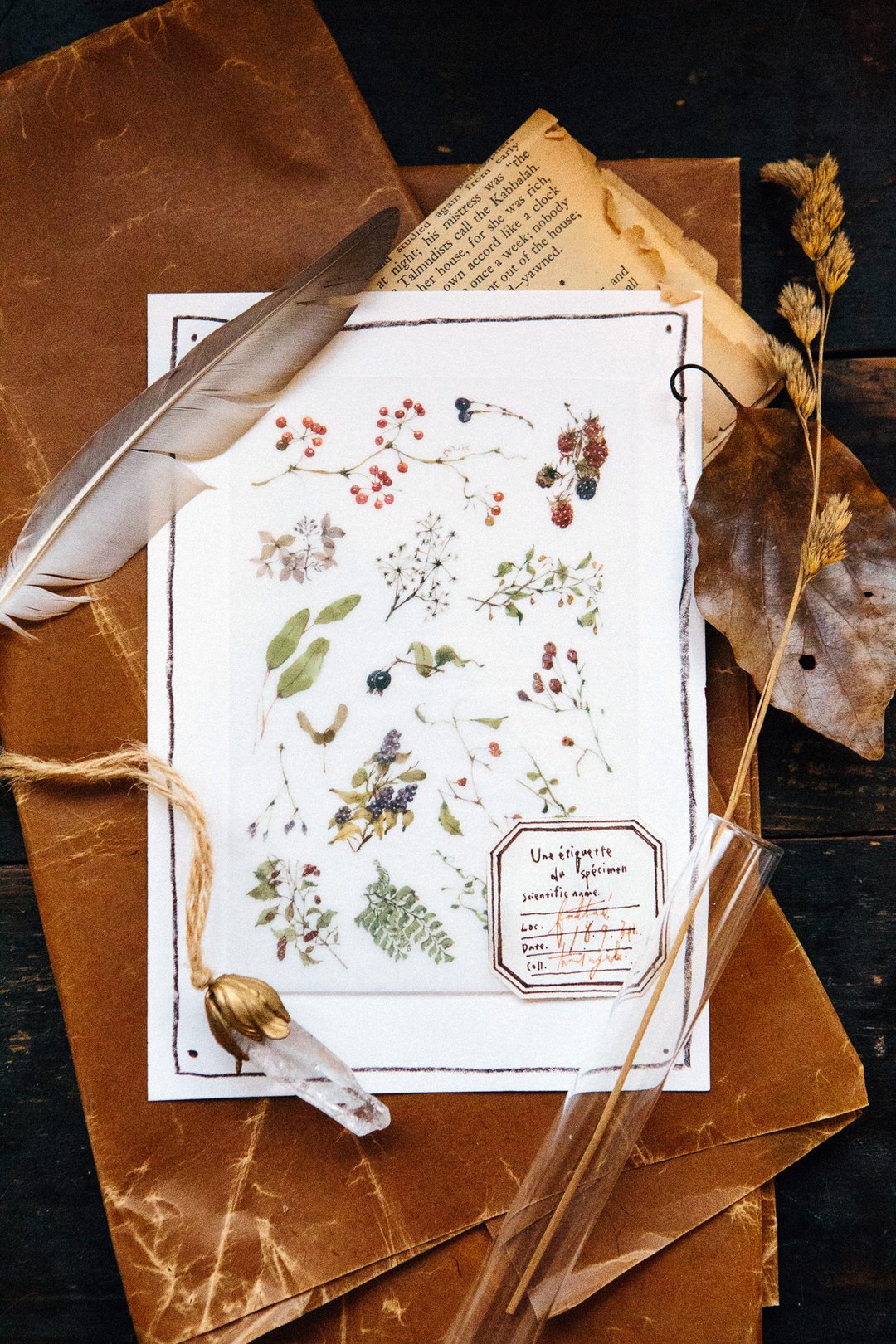 野地花草 转印贴纸 - 贴纸 - 纸 粉红色