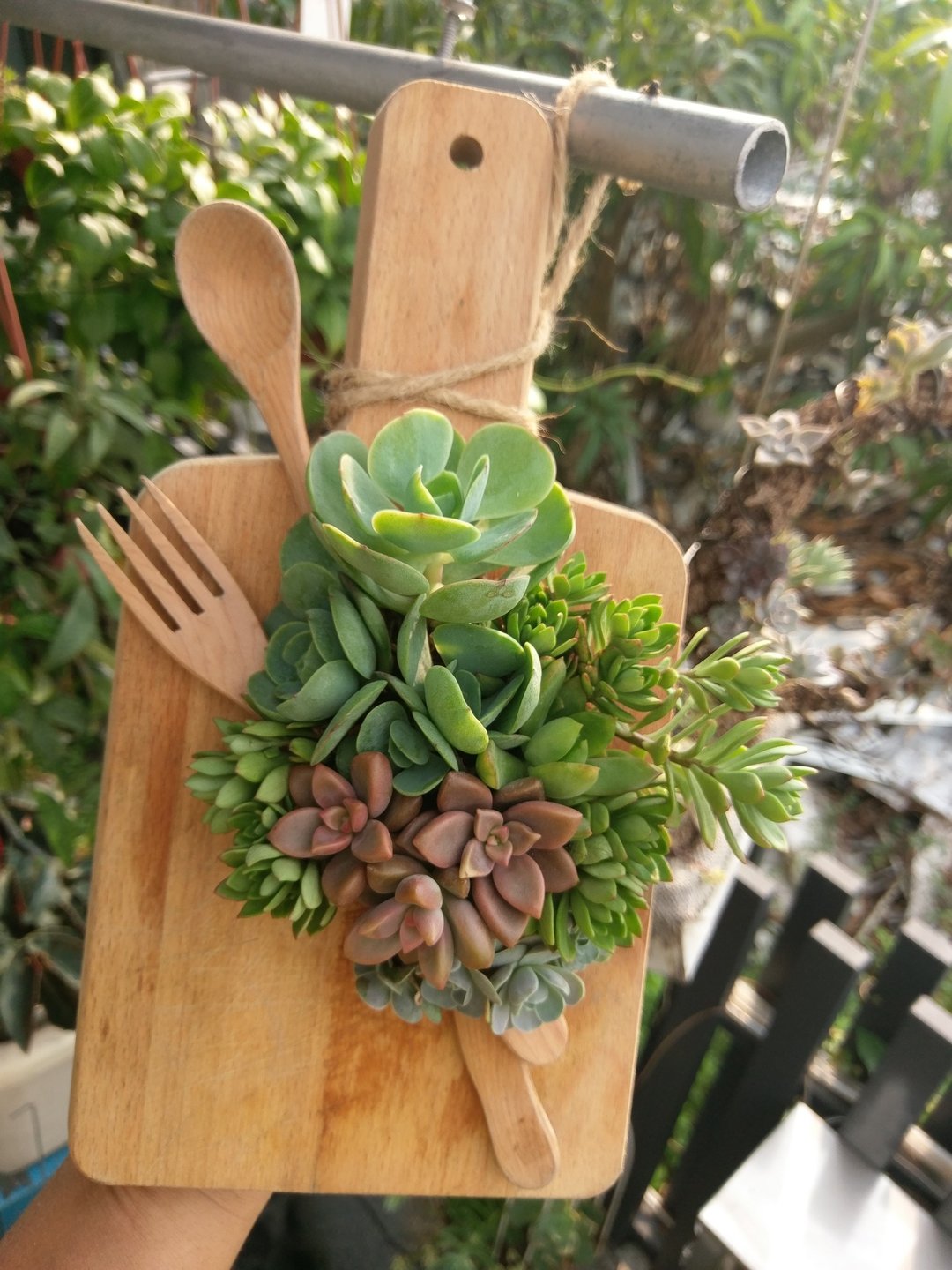 【OliverGreen Table's 】 多肉沙拉 - 植栽/盆栽 - 植物．花 多色