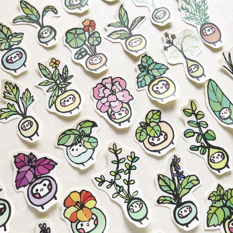 香草籽 插画贴纸 - 贴纸 - 纸 多色