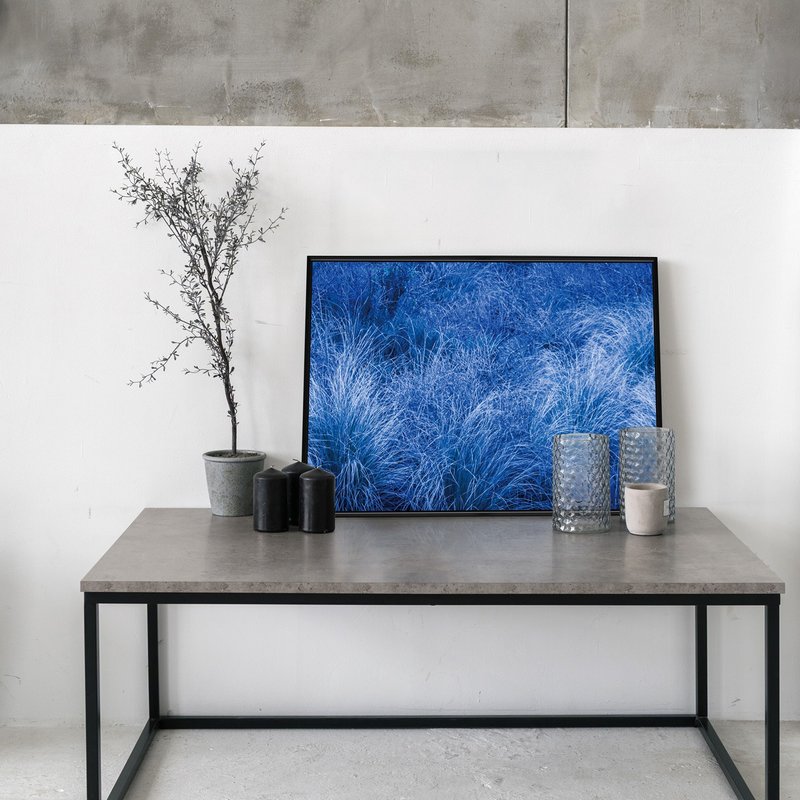 暮蓝 • 牛筋草 - 牛筋草/布置/居家/自然风景/植物/蓝色挂画 - 海报/装饰画/版画 - 棉．麻 多色