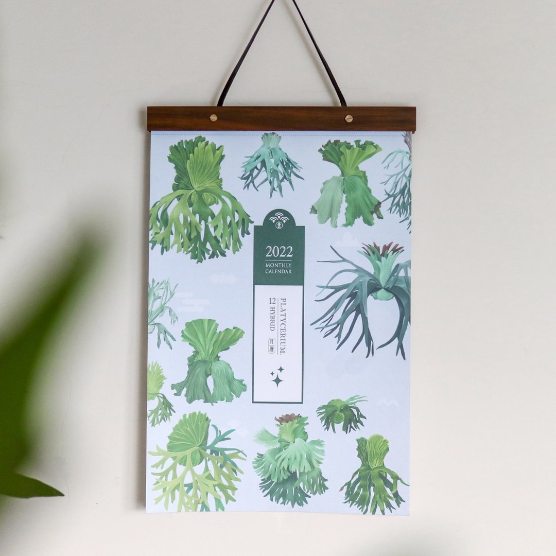 12种交种鹿角蕨月历-2022-插画植物-挂历-青青小树 - 年历/台历 - 纸 绿色