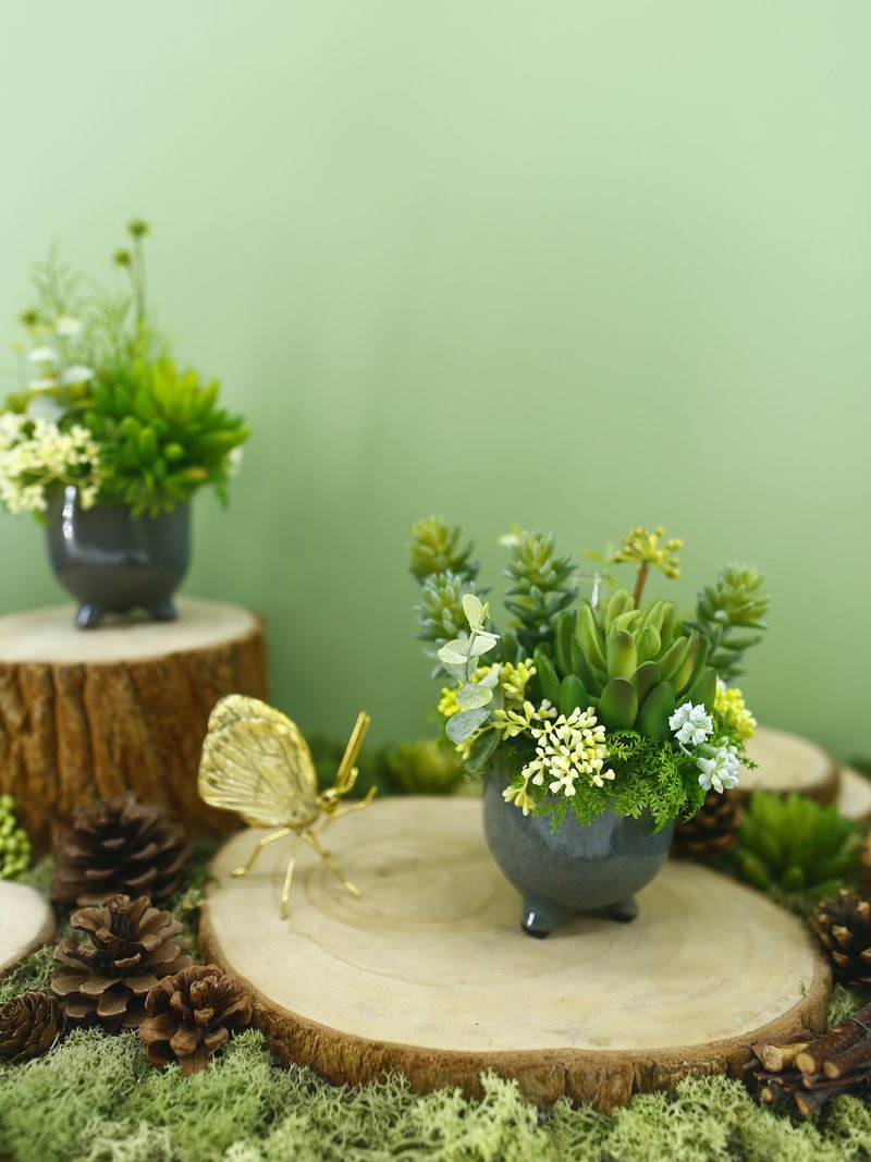 恒久祝福多肉组合香氛盆栽/入厝礼/开幕/乔迁/送礼/植栽 - 植栽/盆栽 - 其他材质 绿色