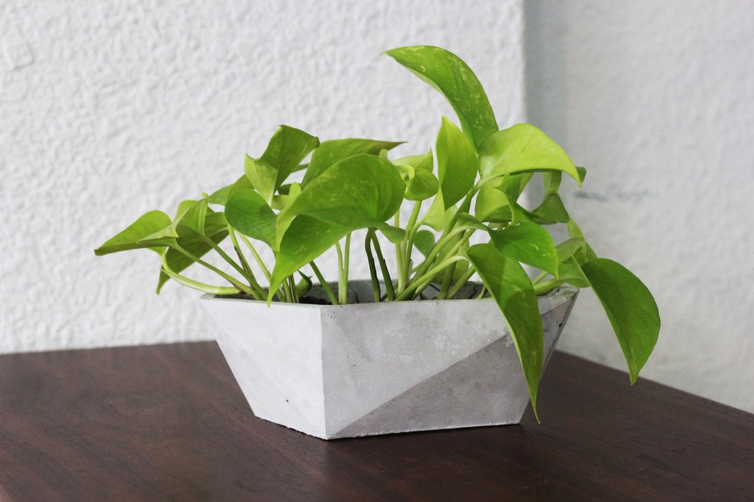 船 | 水泥几何盆器 花器 - 植栽/盆栽 - 水泥 灰色