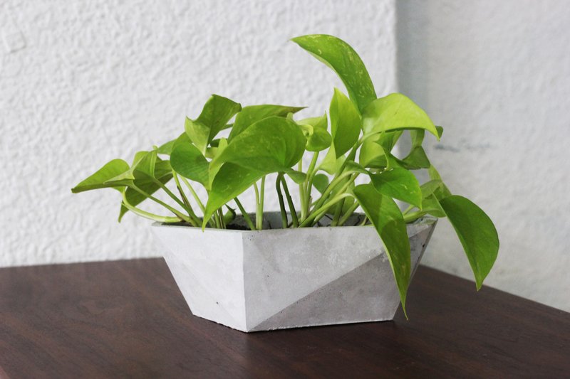 船 | 水泥几何盆器 花器 - 植栽/盆栽 - 水泥 灰色