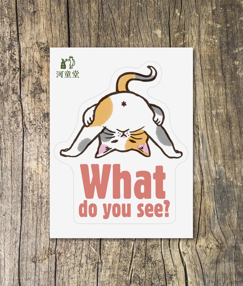 贴纸 屁屁猫 - 贴纸 - 其他材质 橘色