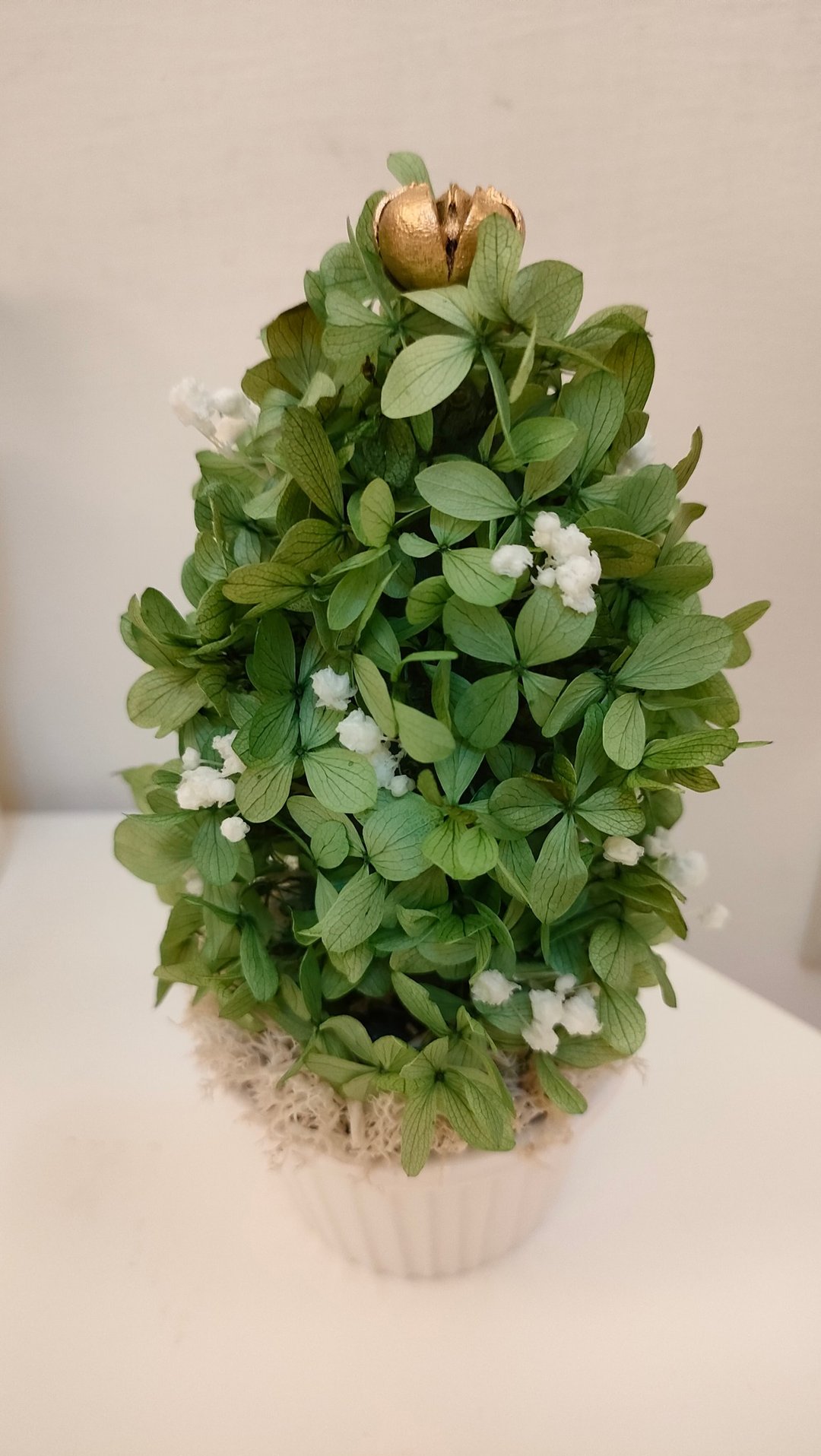 绮思艺想-不凋绣球花圣诞树 - 干燥花/捧花 - 植物．花 多色