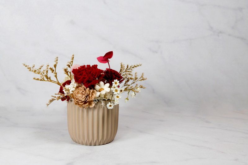 几何奶茶系列 永生花 干燥花 生日礼物 母亲节礼物 开幕送礼 升迁 - 干燥花/捧花 - 植物．花 红色