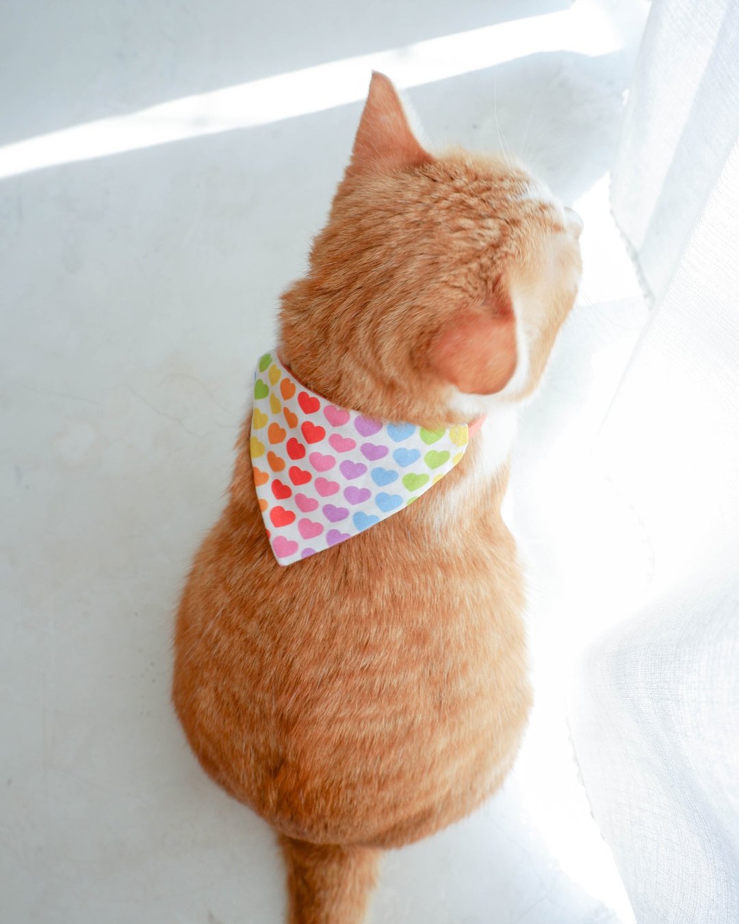 Mini bow-tie set, Limerence breakaway cat collar, hearts collar, colorful collar - 项圈/牵绳 - 棉 多色