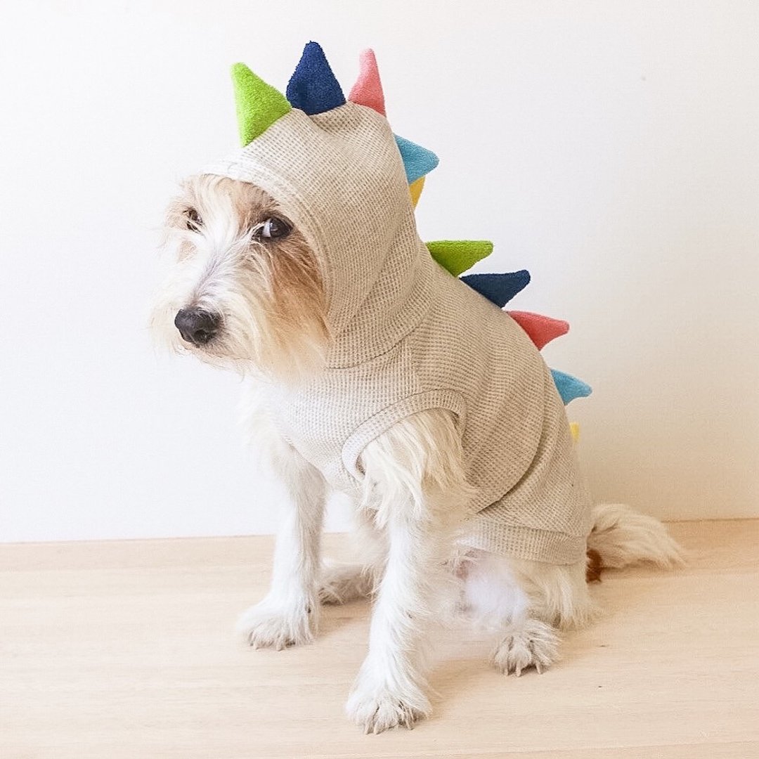 Dino dog / Oatmeal - 衣/帽 - 棉 多色
