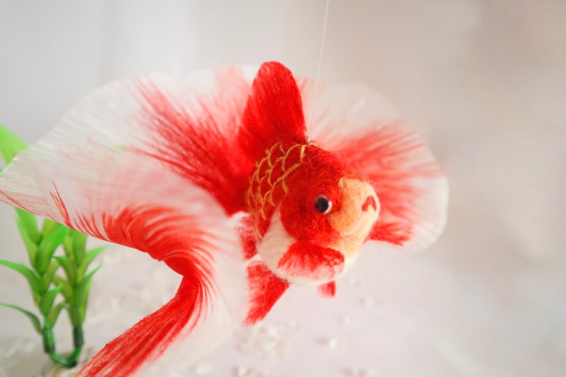 摇曳生姿的金鱼风铃 L - 红斑土佐锦 - - 玩偶/公仔 - 羊毛 红色