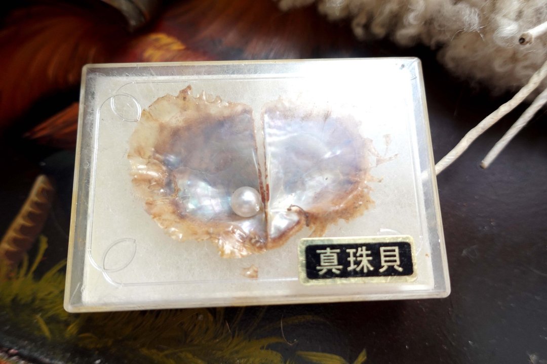 日本中古心型真珍珠贝壳标本摆设 考古科学教学 高级二手古着珠宝 - 摆饰 - 水晶 透明