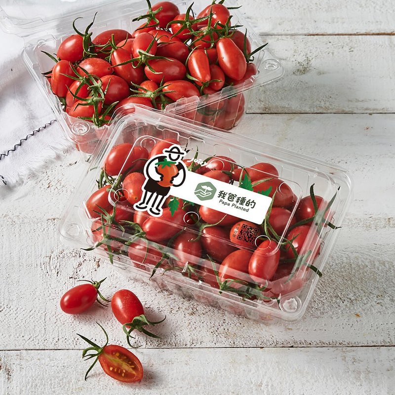 【我爸种的】皮薄多汁 玉女小蕃茄 (4盒入) 鲜采直送 温室番茄 - 其他 - 其他材质 红色