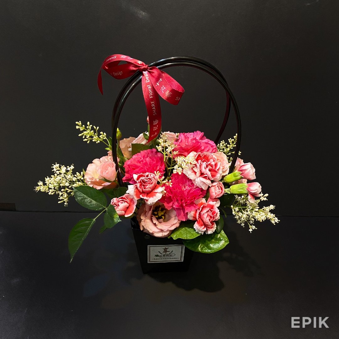 红色康乃馨 母亲节鲜花礼 - 植栽/盆栽 - 植物．花 