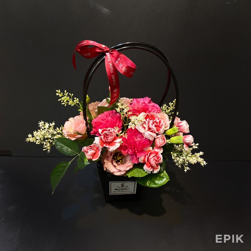 红色康乃馨 母亲节鲜花礼 - 植栽/盆栽 - 植物．花 