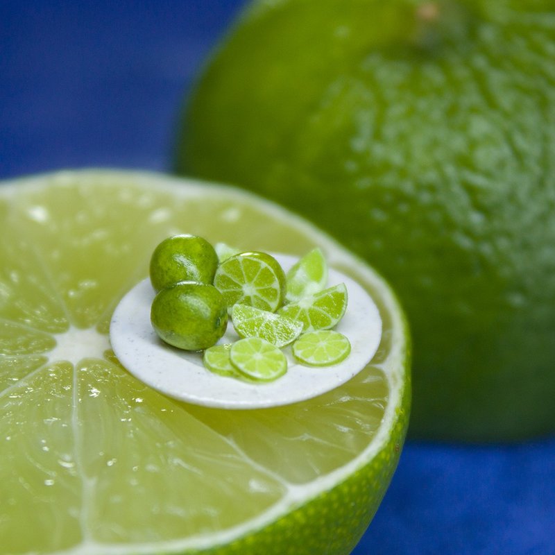 教程微型石灰甘蔗与聚合物黏土| PDF+影片 - 手工艺教程/工具书 - 其他材质 