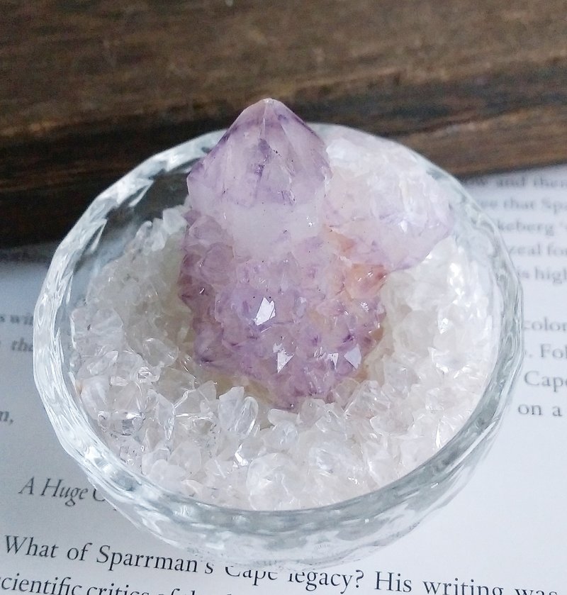 Cactus Amethyst 南非产地 仙人掌紫水晶 天然矿石 原矿 - 摆饰 - 其他材质 