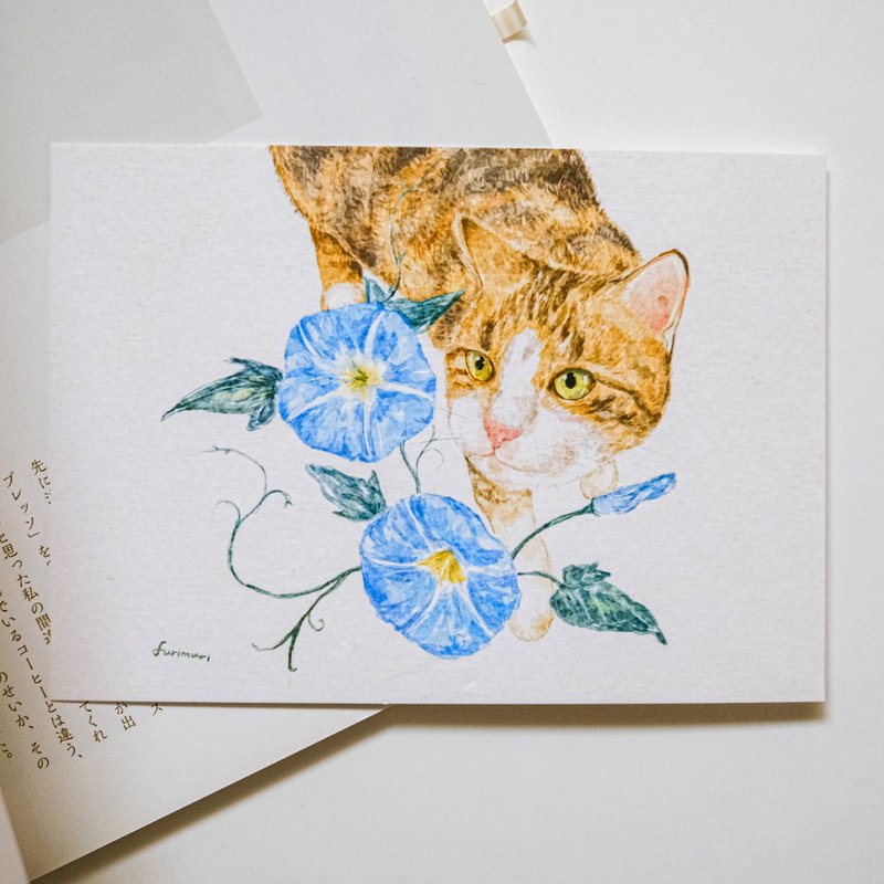 明信片 猫与牵牛花 - 卡片/明信片 - 纸 蓝色