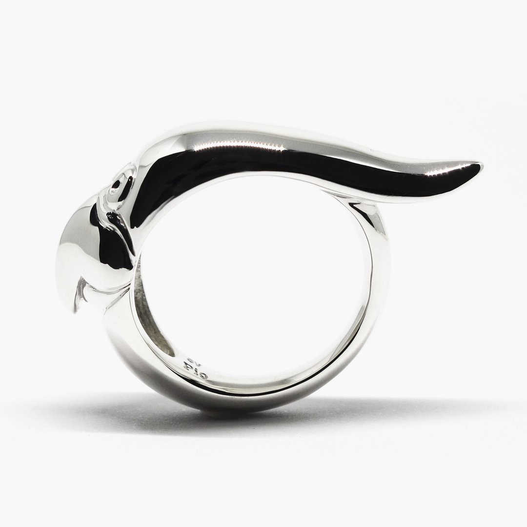 Cockatiel's beak ring【Pio by Parakee】玄鳳鹦鹉喙的戒指 - 戒指 - 其他金属 银色