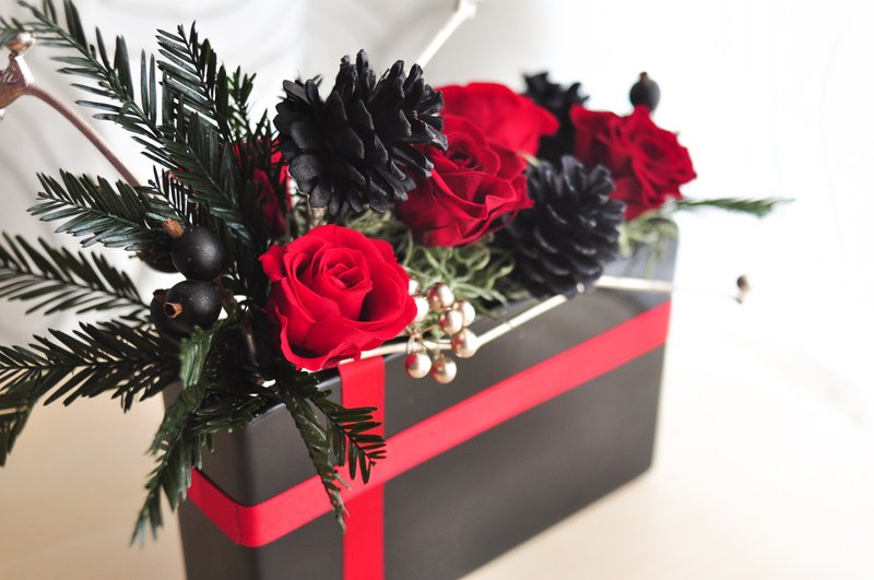 Simple & Stylish│简约时尚 设计款恒星桌花 - 植栽/盆栽 - 植物．花 红色