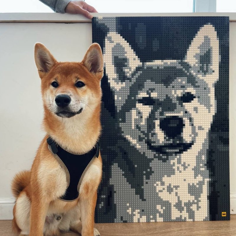 俄罗斯 MOZABRICK 马赛砖 (M) - 其他 - 塑料 白色