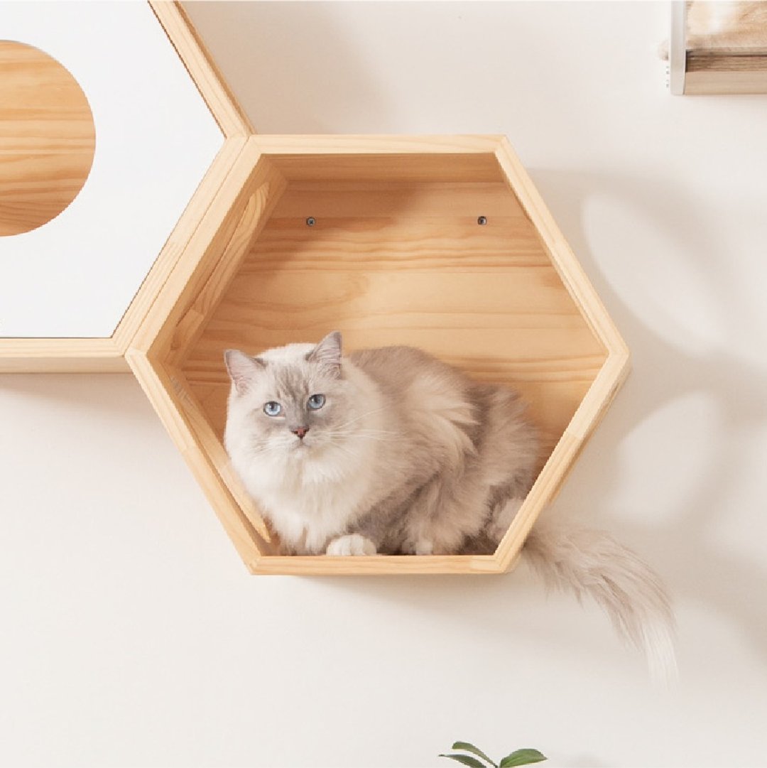 六角猫跳台 Busycat-原木 - 玩具 - 木头 咖啡色