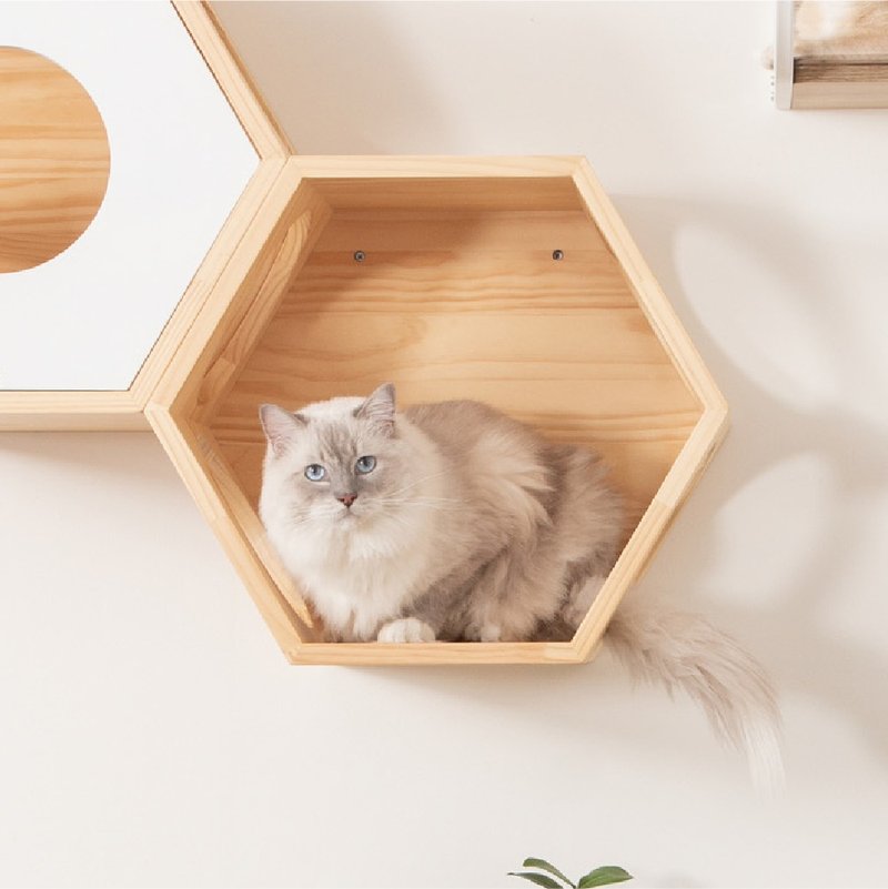 六角猫跳台 Busycat-原木 - 玩具 - 木头 咖啡色