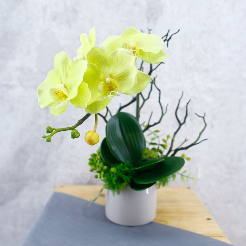 绿蝴蝶兰香氛花艺/仿真花/礼物/布置/人造花/花礼 - 植栽/盆栽 - 其他材质 