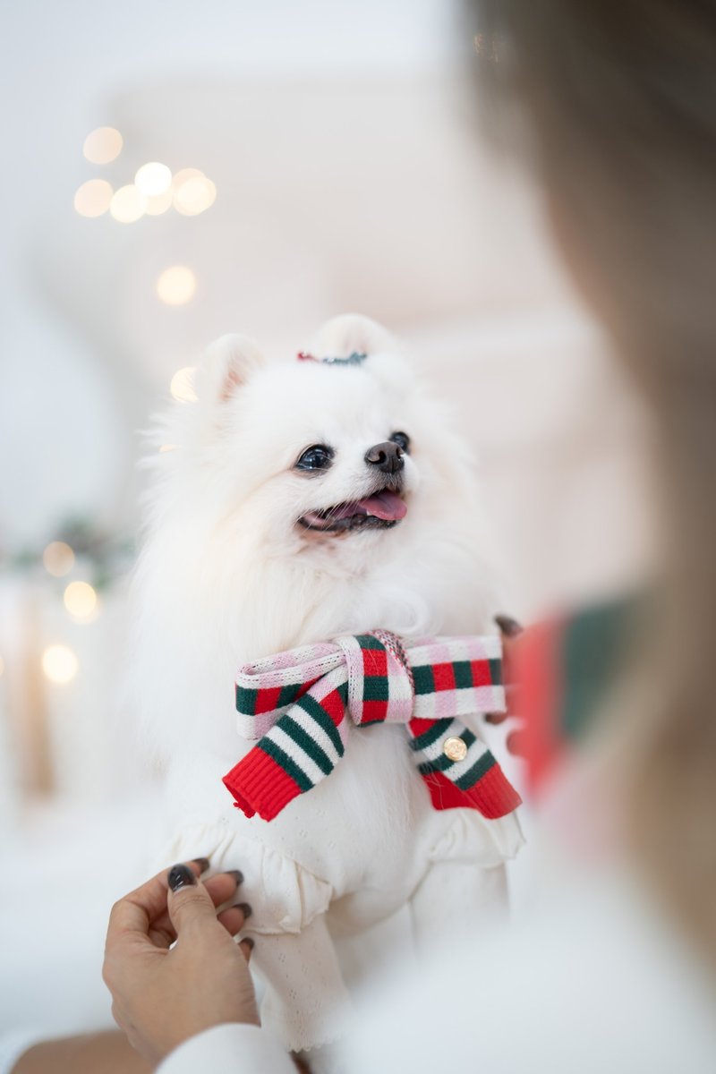 宠物-亲子装-圣诞围巾 - 衣/帽 - 其他人造纤维 红色