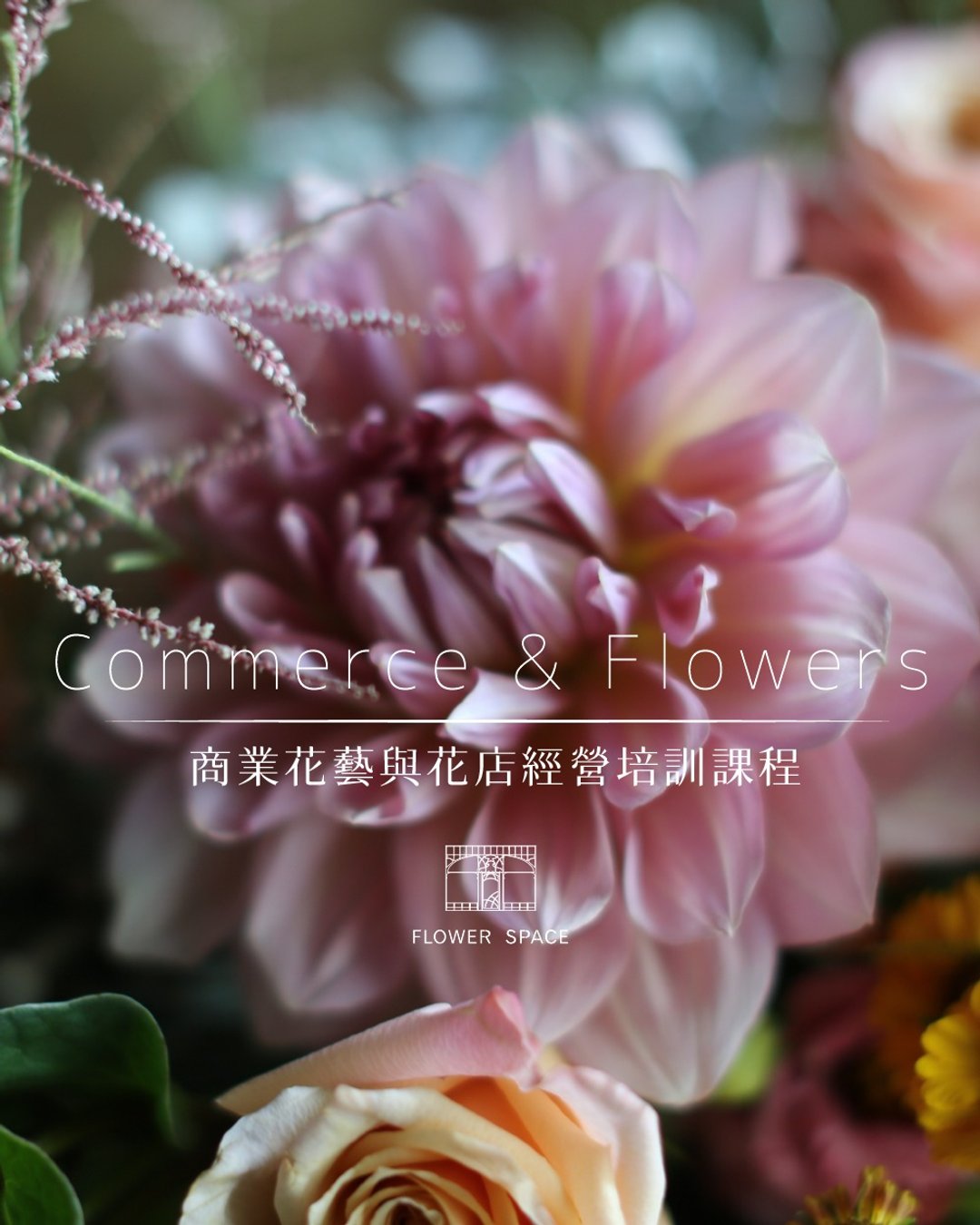 商业花艺与花店经营培训课程 - 植栽 - 植物．花 