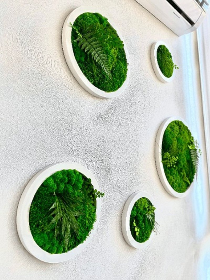 苔藓圆，绿木艺术圆，苔藓图片，保存的苔藓墙艺术 - 墙贴/壁贴 - 植物．花 