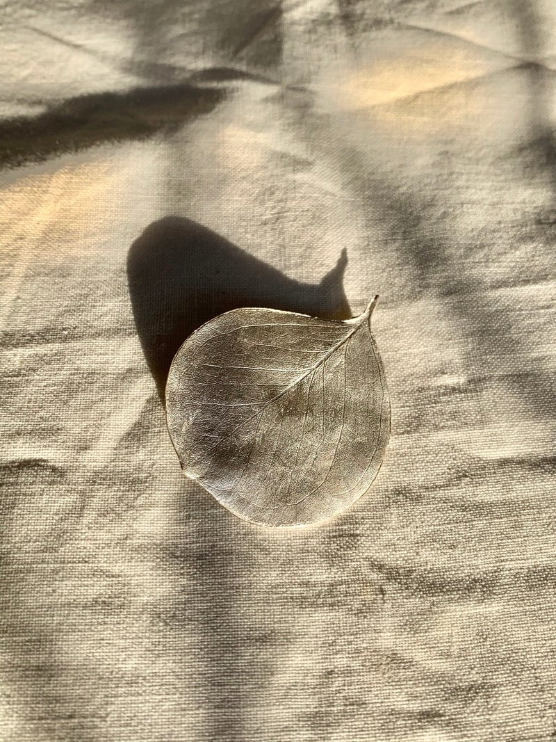 Eucalyptus brooch - 胸针 - 银 银色