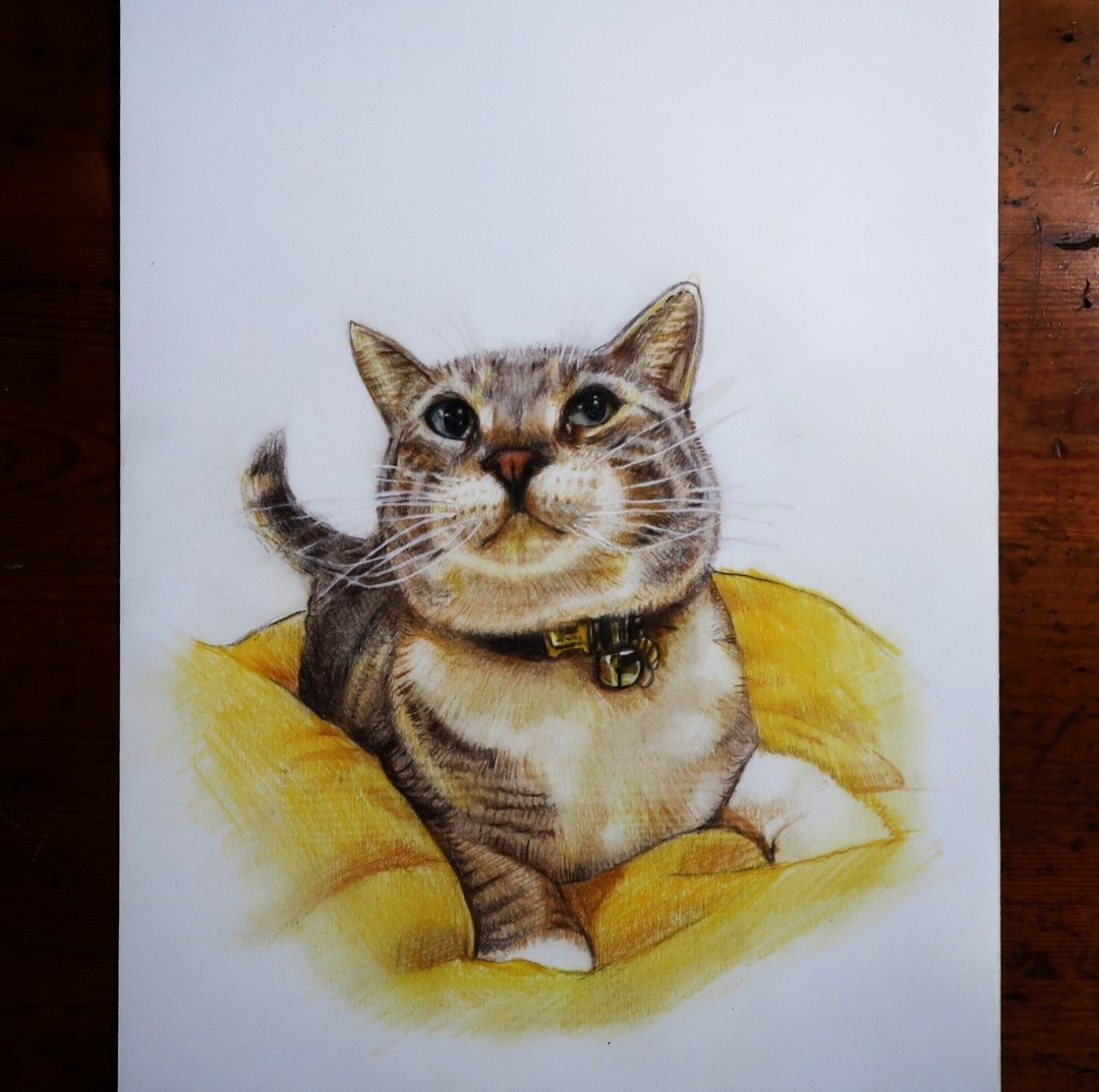 1.宠物猫画(上架作品)  2.宠物定制画  3.缩时摄影 - 订制画像 - 纸 多色