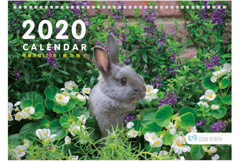 2020兔子摄影桌历 - 年历/台历 - 纸 白色