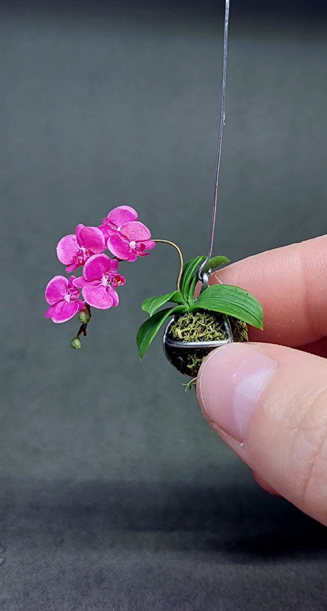 Miniature Kokedama Orchid in a 1:12 Ball, Moss Ball, Miniature Plants,Doll decor - 植栽/盆栽 - 粘土 紫色