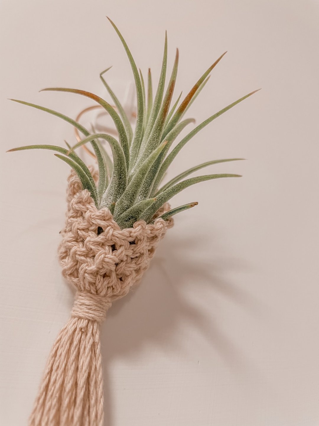 家后 | Macramé 编织迷你植栽吊篮 - 墙贴/壁贴 - 棉 