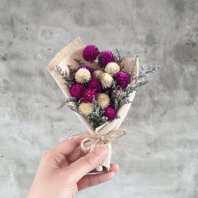 圆仔花 千日红 干燥花束 - 植栽/盆栽 - 植物．花 多色