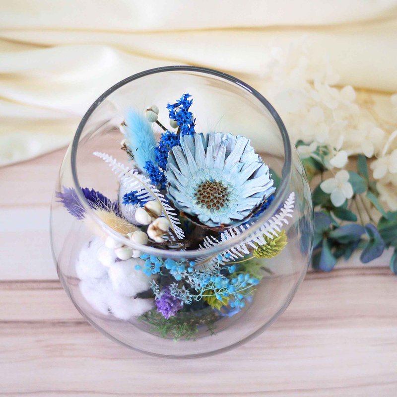 南国森林-蓝太阳初冬果实 干燥玻璃桌花 圣诞节/生日 - 干燥花/捧花 - 植物．花 蓝色