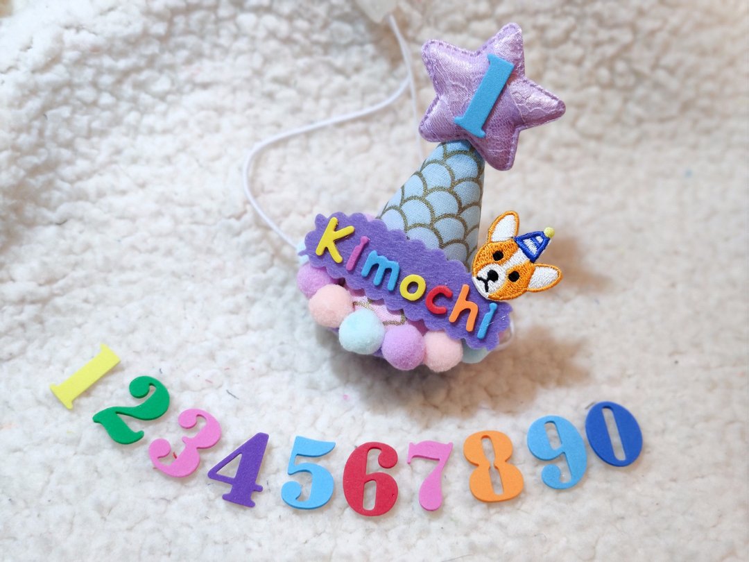 Birthday star 生日之星 宠物生日帽 - 衣/帽 - 棉．麻 紫色